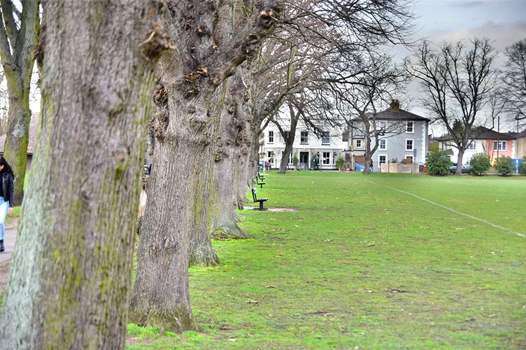 Fairfield Recreation Ground Kingston